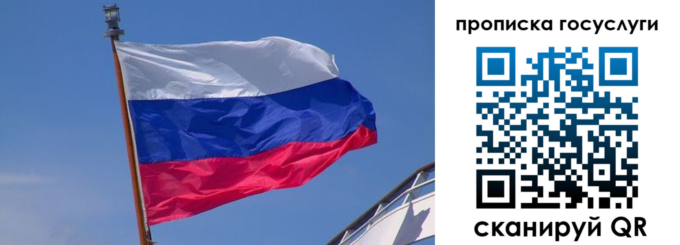 регистрация в Пестово